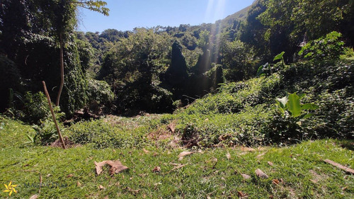 Imagem 4 de 12 de Terreno - Sb052 - 71020560