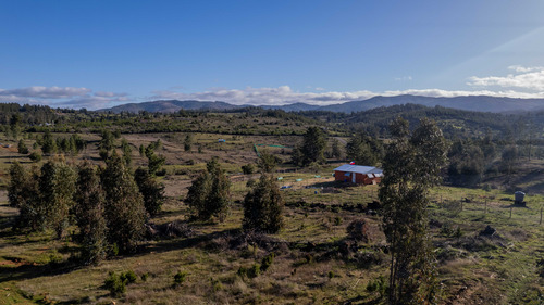 Parcelas En Reserva Cauquenes (76436)