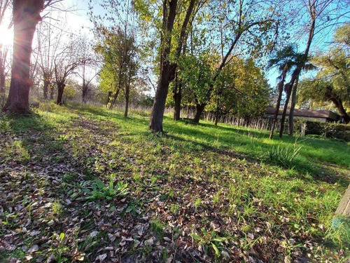 Imagen 4 de 5 de Fraccion En Venta En Dique Luján, Tigre.