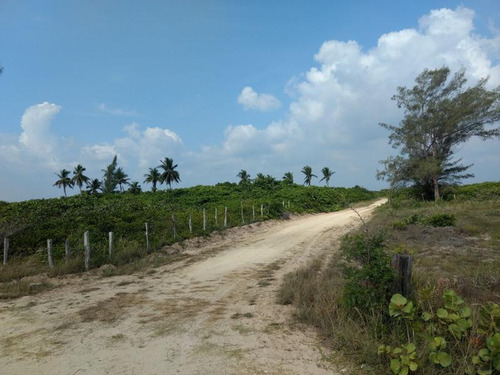 Venta Rancho 100 Has Frente A La Laguna De Tamiahua Veracruz
