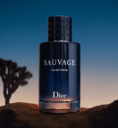 Sauvage Dior Edp 100ml Recargable