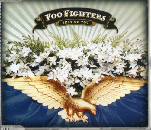 Foo Fighters Best Of You Single Cd 2 Tracks Eu 2005