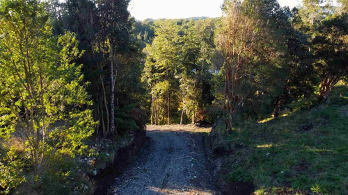 Subdivisión De Parcelas De 5.000m² A 25 Min De Puerto Varas