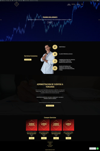 Imagen 10 de 10 de Diseño Paginas Web Tienda Informativas Profesional .cl .com