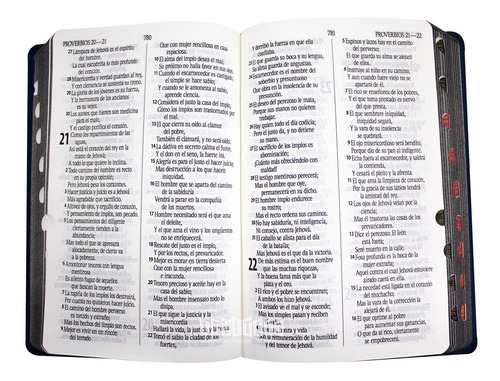 Biblia Reina Valera 1960 21x14 Letra Grande, Indice, Azul