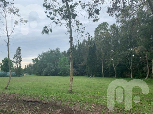 Imagen 6 de 10 de Venta Terreno - Club Miralagos
