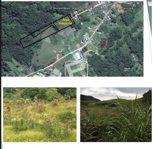 Imagem 2 de 4 de Terreno Industrial Em Timbo/sc - 4836