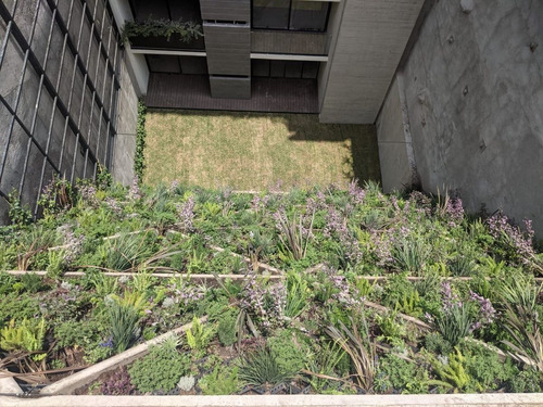 Imagen 1 de 4 de Estrena Departamento Gh Con Buenísima Vista Arbolada
