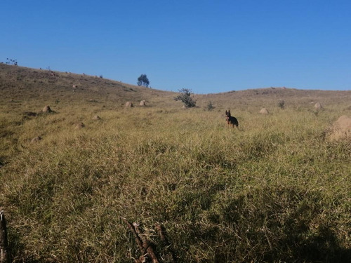 Imagem 3 de 6 de R10-lotes Plainos 5.000mts Jacareí