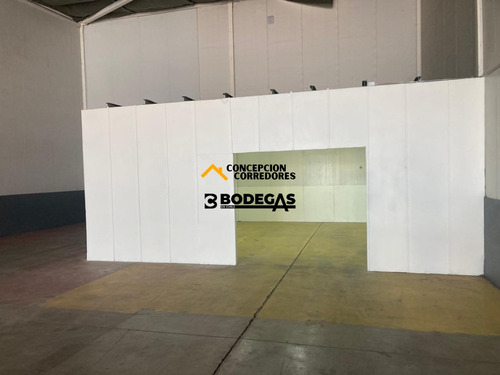 Arriendo Bodega De 390 M2 Carretera San Martin, Quilicura.