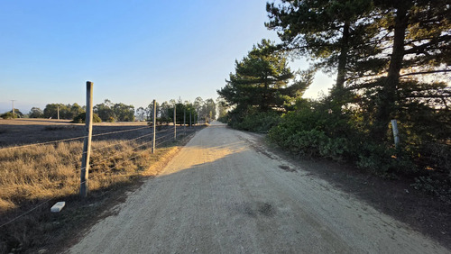 Parcelas Planas En Algarrobo Norte En Condominio Consolidado