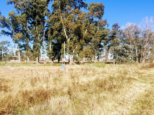 Imagen 6 de 12 de Venta De Lote De Terreno En Brandsen