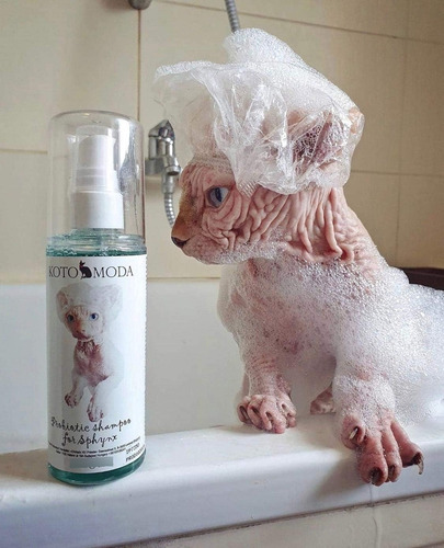 Champú Probiótico Profesional Para Gatos Sphynx - Cuidado