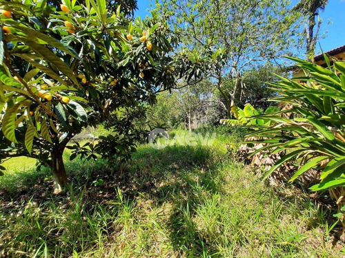 Imagem 7 de 9 de Terreno À Venda, 300 M² Por R$ 170.000,00 - Encosta Do Sol - Estância Velha/rs - Te1128