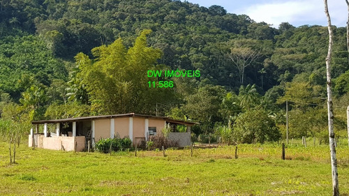 Imagem 3 de 30 de Juquiá/sitio Com Pupunha/ Pasto E 05 Lagos Para Pesqueiro - 04857 - 34121206