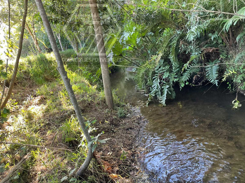 Parcela De 1ha En Venta A 11km De Quepe (96598)