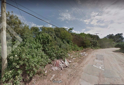 Imagem 10 de 11 de Terreno - Centro - Ref: 233072 - V-233072