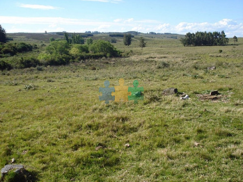 Imagen 5 de 18 de Campo 96 Has En Carape Cuenta Con Costa De Arroyo. - Ref : Eqp2775