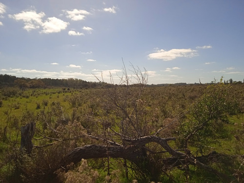 Campo De 21 Hectáreas Sub Urbanas