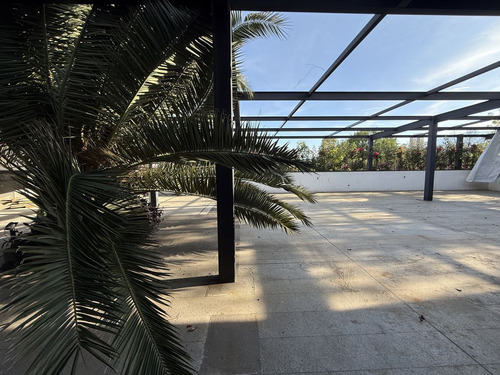 Excelente Local En Renta - Jardines Del Pedregal