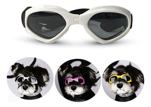 For Gafas Plegables Para Mascotas, Accesorios