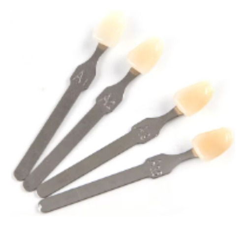 Escala Vita Pan Classical A1-d4 Com 16 Cores