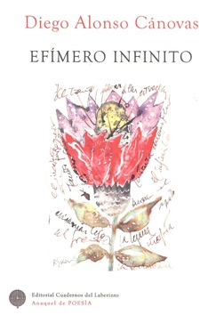 Libro Efímero Infinito De Cuadernos Del Laberinto