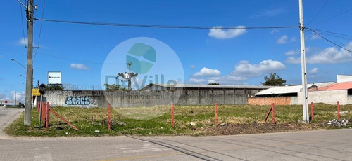 Imagem 6 de 16 de Terreno A Venda No Bairro Borda Do Campo Em São José Dos - 30084-1