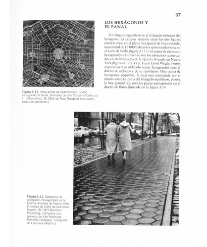 La Geometría En La Arquitectura Editorial Trillas