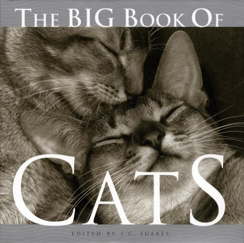 El Gran Libro De Los Gatos