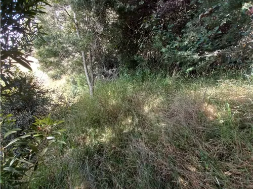Venta De Lote Chivatá