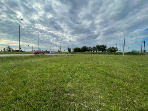 Venta Terreno Sobre Ruta 102 Y Camino Fauquet