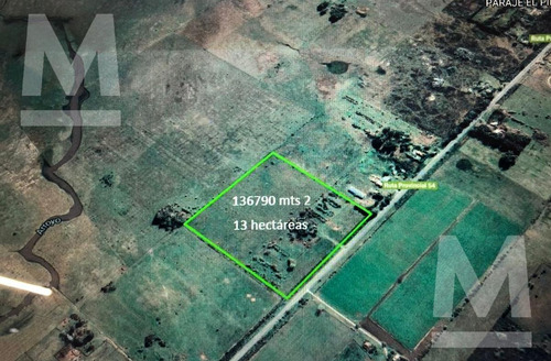 Imagen 2 de 3 de Terreno - El Pino
