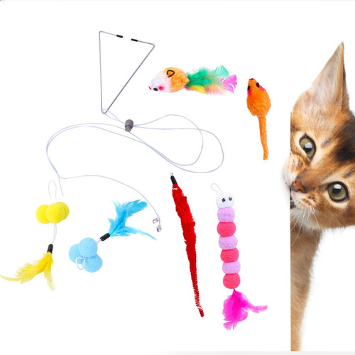 Para 6 Pcs Porta Pendurada Brinquedo Gato Gatinho Teaser