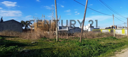 Imagen 4 de 5 de Venta De 2 Lotes De 10m X 46.28m,469m2 C/u, Total 938m2, En 133 Entre 518 Y 519.