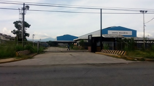 Imagen 1 de 15 de Galpon  En Venta Zona Industrial Municipal Sur-valencia. Código: Plt-184 Ct