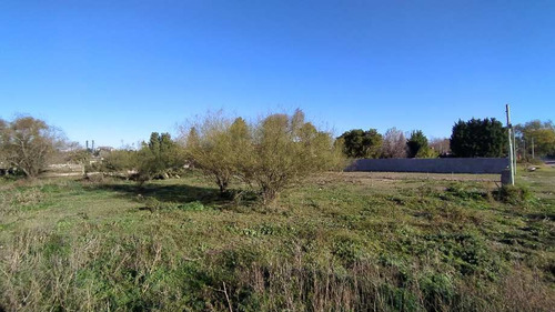 Imagen 9 de 11 de Lote En Venta En Victoria
