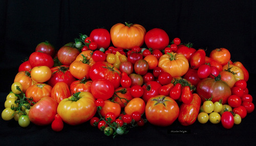 Imagem 1 de 1 de Mix  De Sementes De Tomates Superiores Do Iac