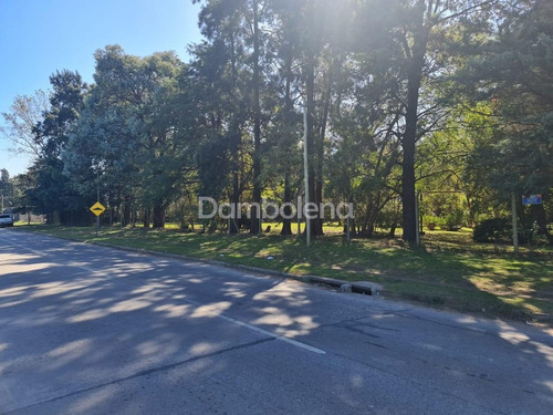 Imagen 5 de 14 de Terreno Fraccion En Venta Sobre Colectora Norte Acceso Oeste - General Rodríguez - G.b.a. Zona Oeste