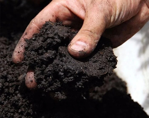 20kg Húmus De Minhoca - Vermicomposto 100% Natural - Ecogarden Jardinagem