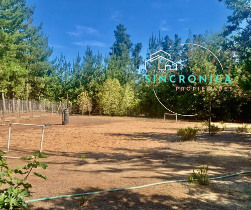 ¡se Vende Increible Parcela En Los Pinares Algarrobo!