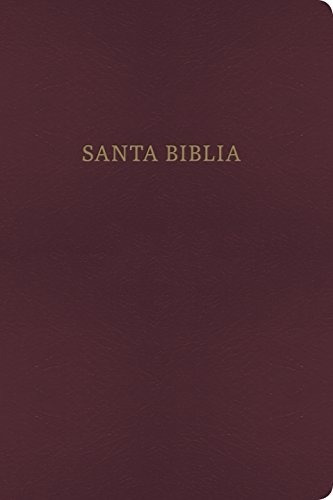 Rvr 1960 / Kjv Biblia Bilingue, Borgoña Imitacion Piel (span