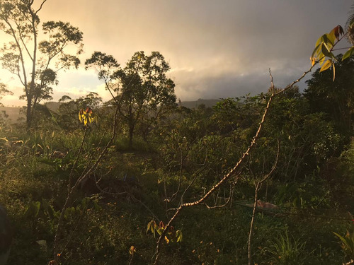 Terreno Colinas De Carrizal