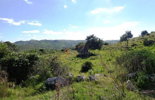 17 Has, Vistas Serranas, Monte Nativo, Arroyo Y A 1 Hora De Mdeo...- Ref: 26461