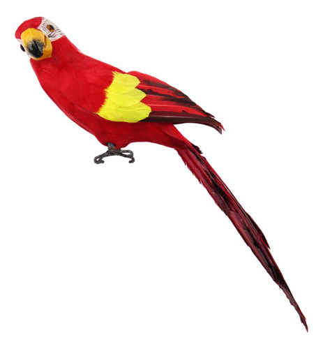 Pájaro Loro Modelo Simulación Loro Pluma Loro Guacamayo