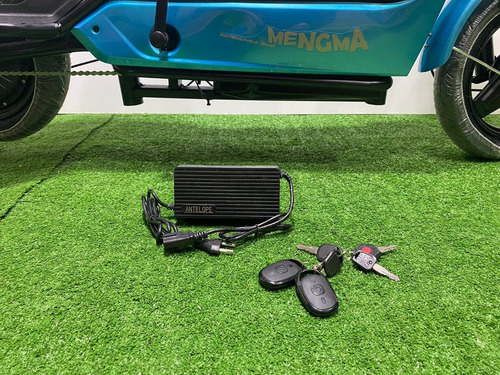Imagen 4 de 10 de Bicicleta Electrica Pegaso Bike 350w 48v Azul