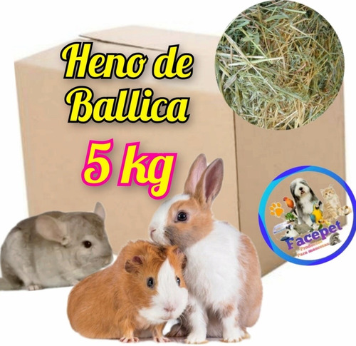 Heno Ballica (5kg) Cuy, Conejo, Chinchilla.