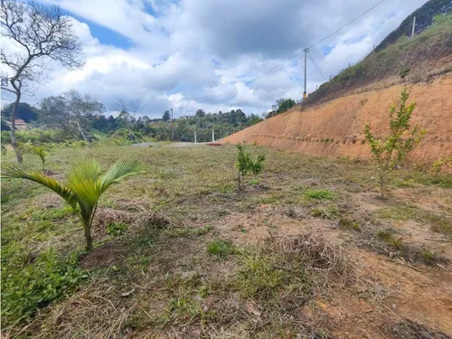 Lote En Rionegro Vereda La Playa