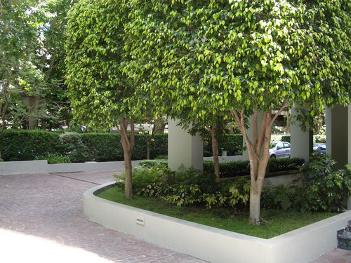 Alquiler Torre Loreto Plaza 2 Ambientes 2 Baños Pileta Tenis Parrilla Seguridad 24 Hrs - Belgrano