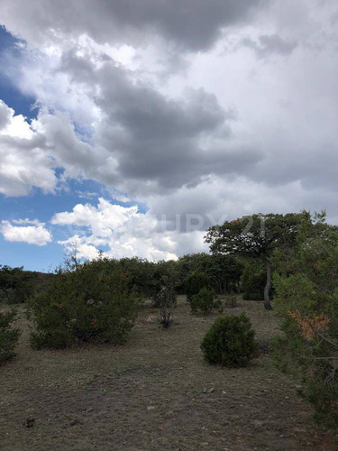Excelente Terreno En La Sierra Fria,